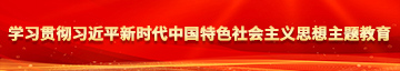 鸡鸡插进去操学习贯彻习近平新时代中国特色社会主义思想主题教育